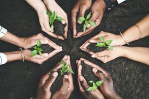 Créer une équipe grâce aux principes de la permaculture d'entreprise