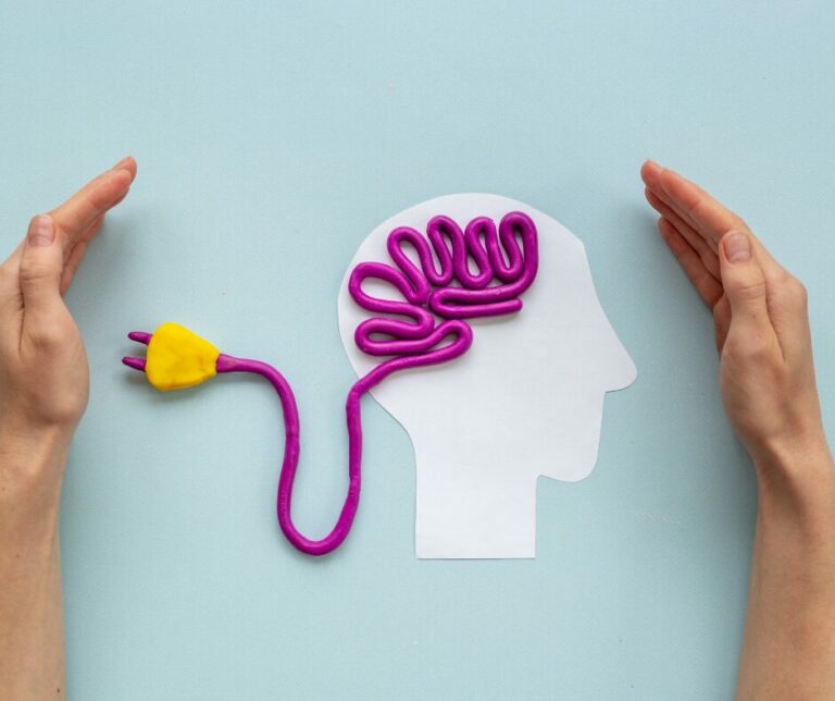 neurosciences et fonctionnement cerveau